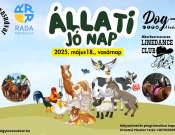 Állati jó nap a Varázsvölgy Lovasudvarban!