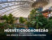 Húsvéti Csodaország
