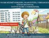 Nyári kézműveskedés, filmvetítés
