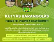 Kutyás Barangolás