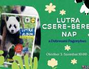 Lutra csere-bere