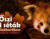 Őszi séták a Debreceni Állatkertben