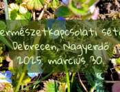 Természetkapcsolati séta