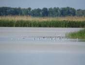 Vezett túra a Víz világnapja alkalmából