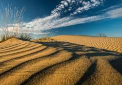 Szaharai világot idéző homokdűnék, avagy a csodás Fülöpházi-homokbuckák