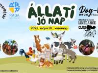 Állati jó nap a Varázsvölgy Lovasudvarban!