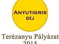 Te miért dolgozol? Terézanyu Pályázat 2015 
