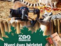 Fotózz és akár ingyen is mehetsz az állatkertbe egy évig!