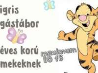 Kistigris mozgástábor