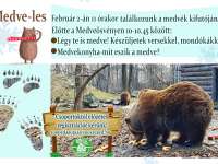 Lessük a tavaszt a medvékkel - Medveprogramok országszerte