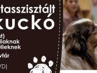 Családi állatasszisztált mesekuckó 