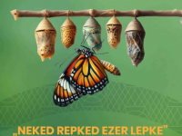 Neked repked ezer lepke!