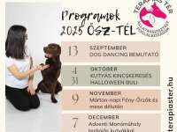 Terápiás Tér programjai